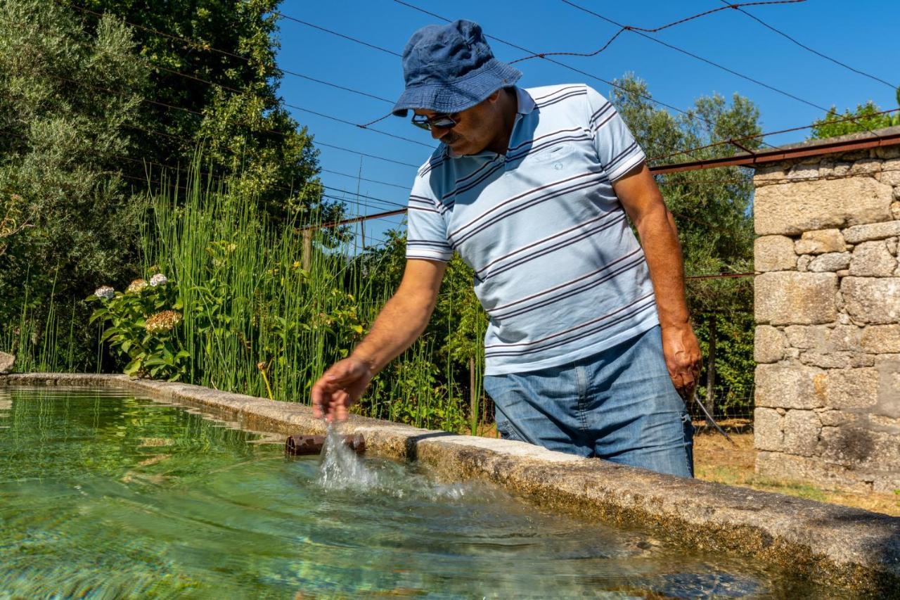 Pensjonat Chale Da Quinta "Lavoura Da Bouca - Fruta Bio" Celorico De Basto Zewnętrze zdjęcie