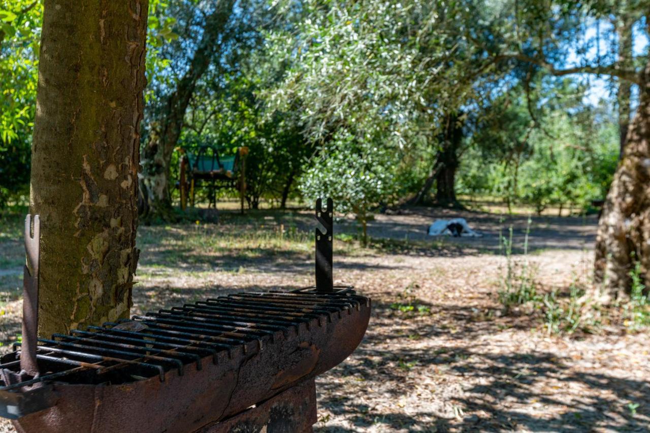 Pensjonat Chale Da Quinta "Lavoura Da Bouca - Fruta Bio" Celorico De Basto Zewnętrze zdjęcie