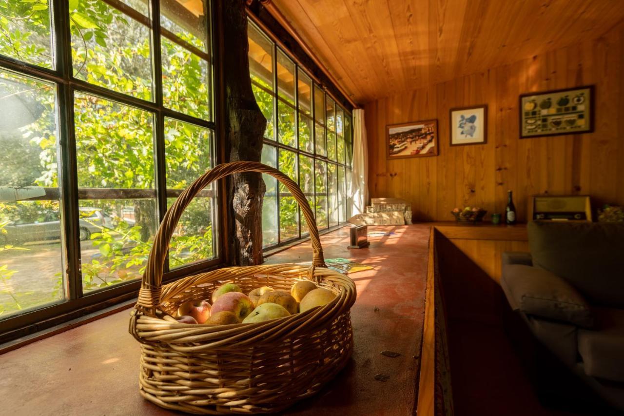 Pensjonat Chale Da Quinta "Lavoura Da Bouca - Fruta Bio" Celorico De Basto Zewnętrze zdjęcie