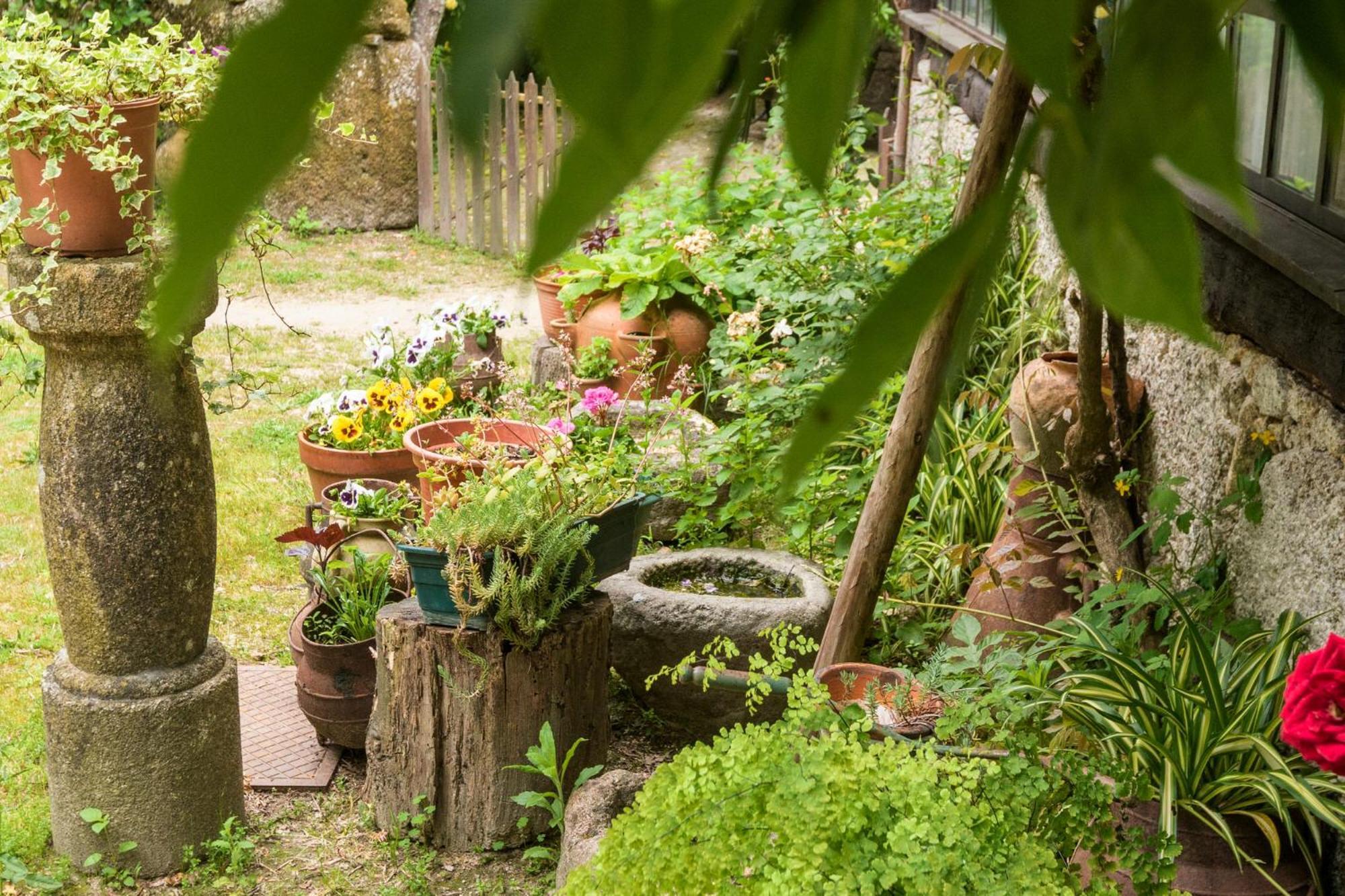 Pensjonat Chale Da Quinta "Lavoura Da Bouca - Fruta Bio" Celorico De Basto Zewnętrze zdjęcie
