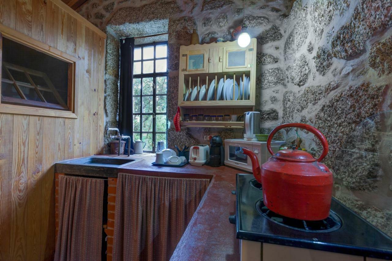 Pensjonat Chale Da Quinta "Lavoura Da Bouca - Fruta Bio" Celorico De Basto Zewnętrze zdjęcie